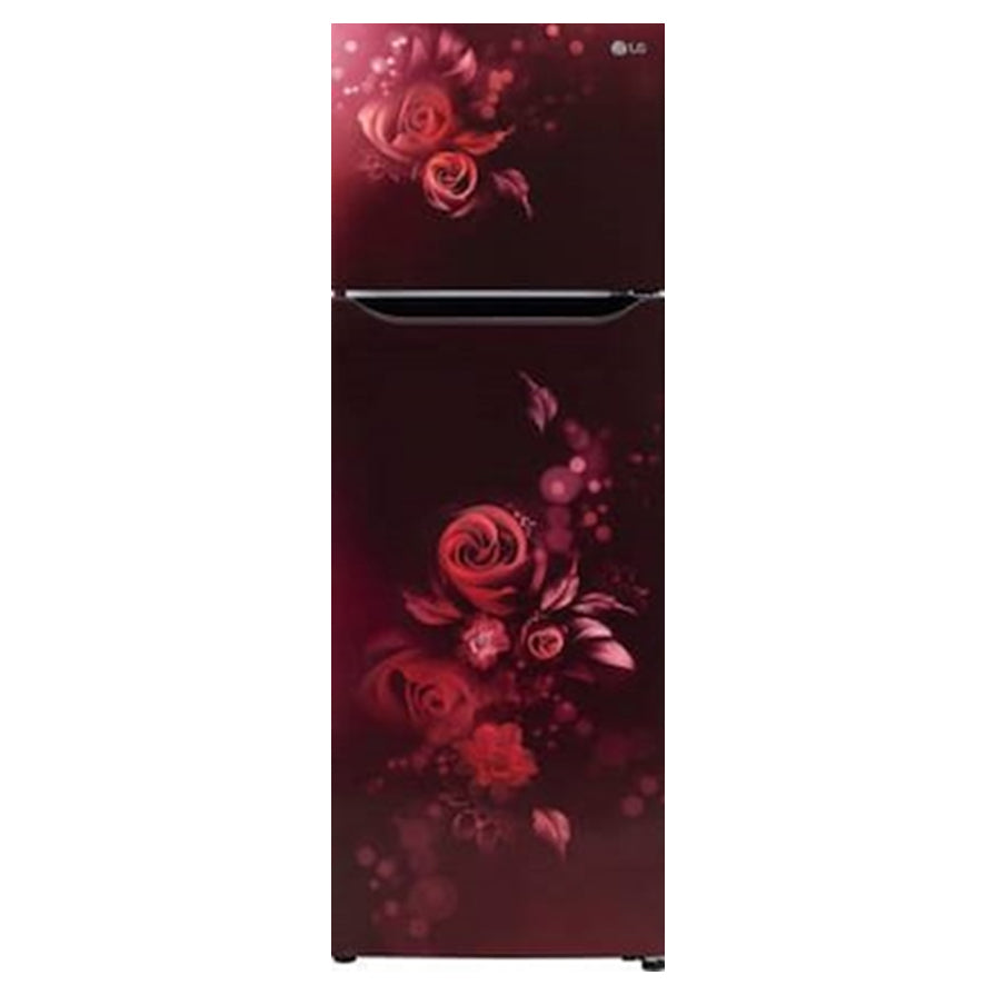 LG 287 Liter Double Door Refrigerator GLB262PPMB